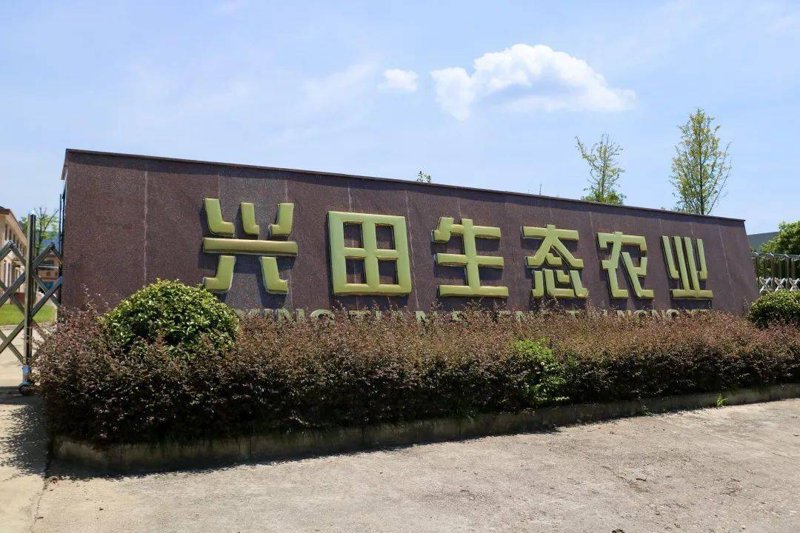 莘禾，在教育行业中有着特殊含义，那么它究竟是什么？我们通过专业人士的视角来探讨一下。