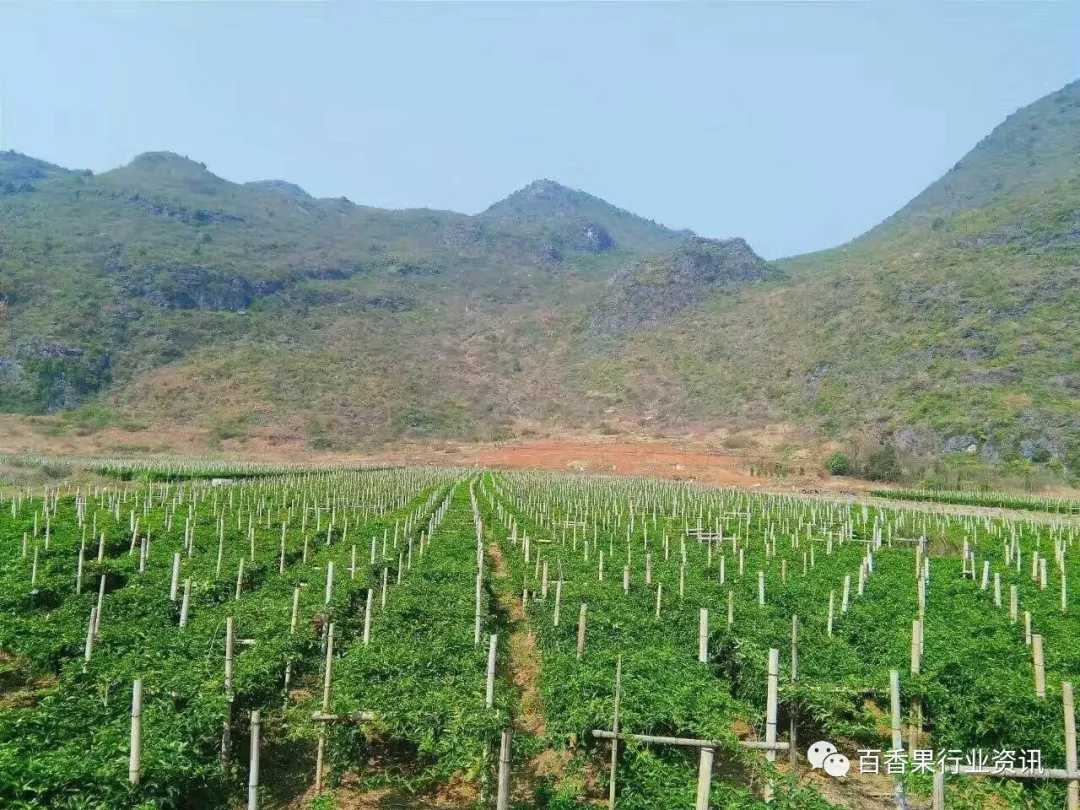 莘禾艺术：如何在家打造专业级绘画空间